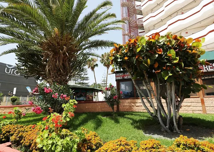 Agaete Parque: Apartamento Vista Piscina